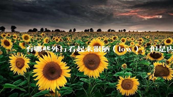 有哪些外行看起来很陋(low),但是内行人却觉得很高大上的东西?