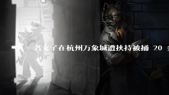 一名女子在杭州万象城遭挟持被捅 20 多刀,隆胸***体救了一命,这反映出哪些公安系统的问题?