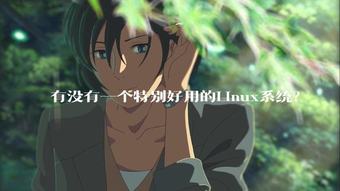 有没有一个特别好用的Linux系统？