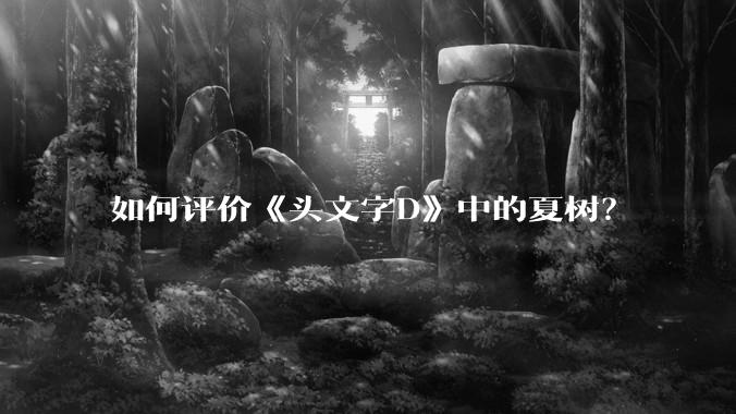 如何评价《头文字D》中的夏树？